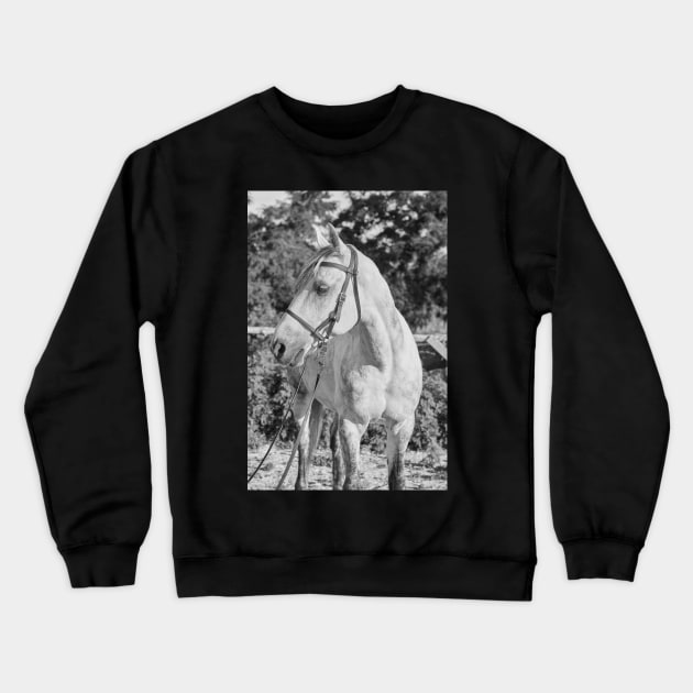 Beautiful Quiete White Horse Crewneck Sweatshirt by KanysDenti